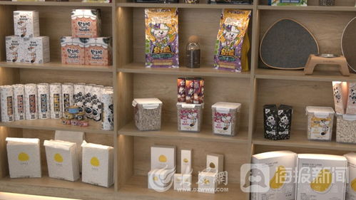 山東一貫寵物用品公司 以高質量產品領跑寵物經濟賽道