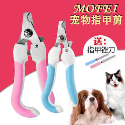 如何為愛寵選擇合適的指甲修剪工具——從泰迪到大型犬的必備美容指南
