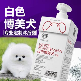寵物清潔全攻略 從除臭消毒到芬芳留香，打造清新愛寵空間