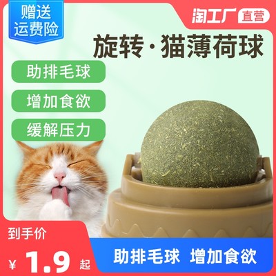 萌寵經(jīng)濟(jì)崛起 網(wǎng)購(gòu)寵物用品成消費(fèi)新趨勢(shì)