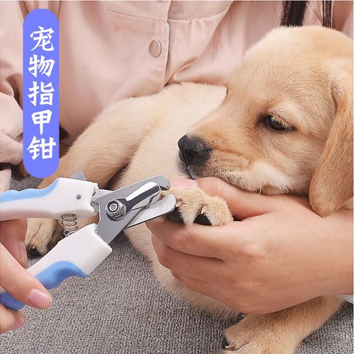 寵享生活 一手掌握狗狗護理之“狼威”工具解密